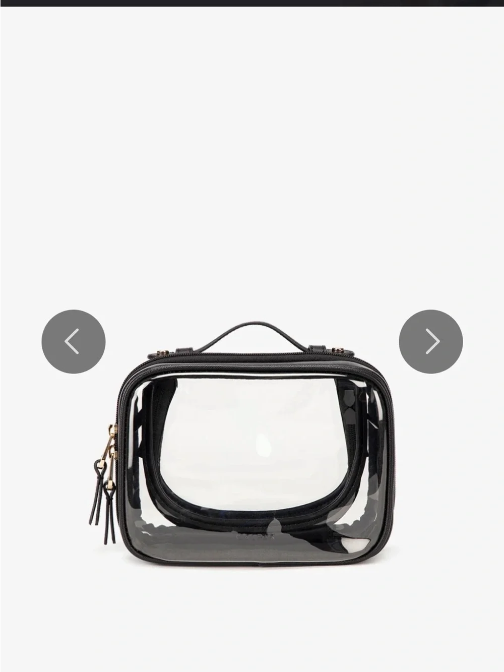 CALPAK Small Clear Cosmetics Case